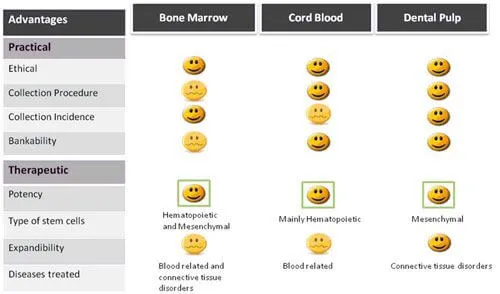 Dental pulp stem cell preservation process and storage