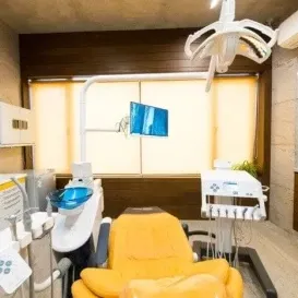 Precision Dental Instruments