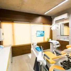 Specialist Providing Consultation